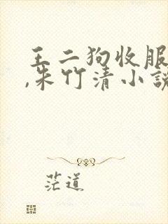 王二狗收服小舞,朱竹清小说免费阅读