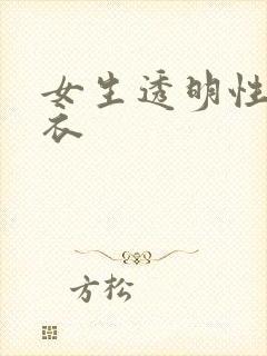 女生透明性感内衣