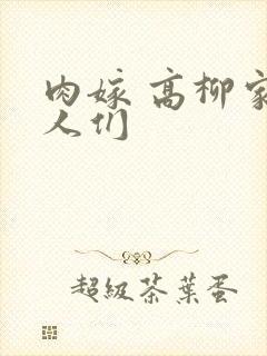 肉嫁 高柳家的人们封面