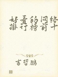 好看的网络小说排行榜前十名封面
