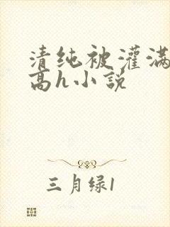清纯被灌满白浆高h小说