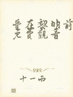 爱在黎明前全集免费观看