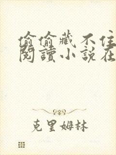 偷偷藏不住免费阅读小说在哪看