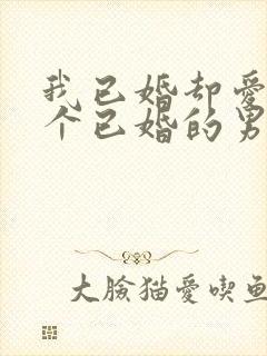 我已婚却爱上一个已婚的男人怎么办