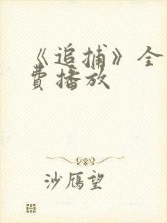 《追捕》全集免费播放