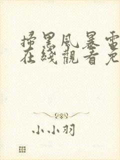 扫黑风暴电视剧在线观看免费25集