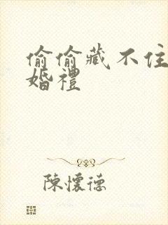 偷偷藏不住番外婚礼