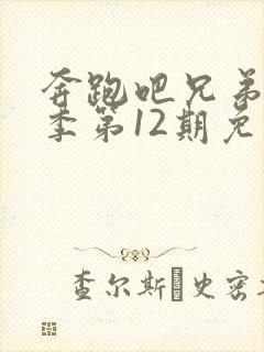 奔跑吧兄弟第五季第12期免费观看