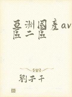 亚洲国产av一区二区