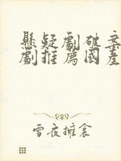 悬疑剧破案电视剧推荐国产