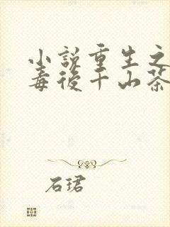 小说重生之将门毒后千山茶客最新篇章