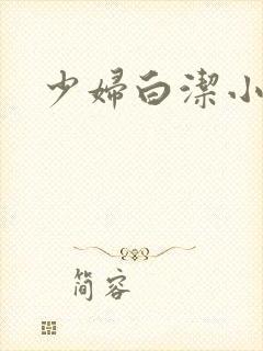 少妇白洁小说1封面