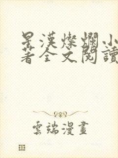 星汉灿烂小说原著全文阅读