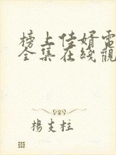 榜上佳婿电视剧全集在线观看免费封面