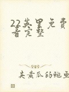 22英里免费观看完整