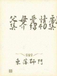 父母爱情剧情分集介绍40集封面