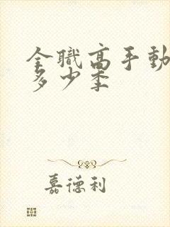 全职高手动漫有多少季