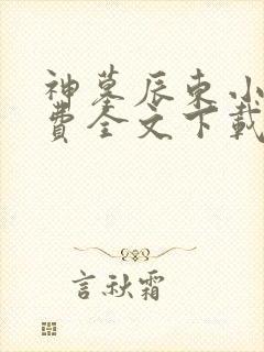 神墓辰东小说免费全文下载