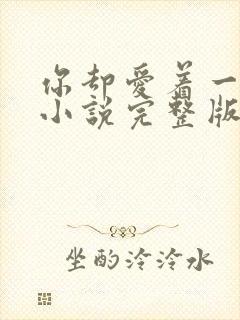 你却爱着一个他小说完整版阅读未删减封面