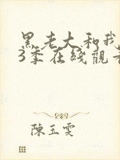 黑老大和我的第3季在线观看全集免费高清