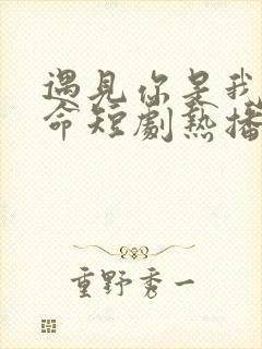 遇见你是我的宿命短剧热播