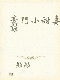 豪门小甜妻 小说封面