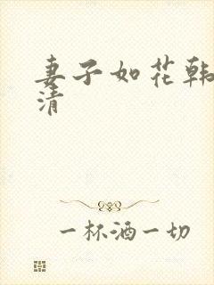 妻子如花韩剧高清封面