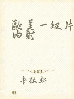 欧美一级片一级内射