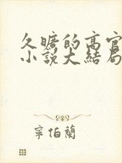 久旷的高官夫人小说大结局封面