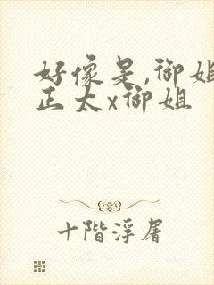 好像是,御姐x正太x御姐