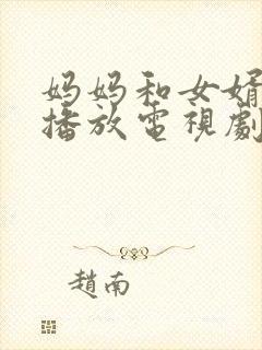 妈妈和女婿免费播放电视剧大全封面