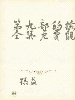 第九部的检察官全集免费观看