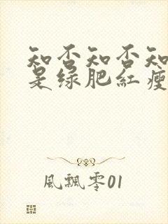 知否知否知否应是绿肥红瘦是什么季节