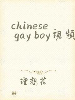 chinese gay boy视频