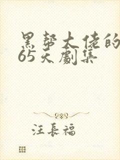 黑帮大佬的第365天剧集