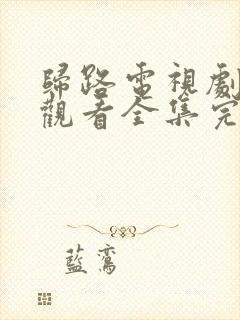 归路电视剧免费观看全集完整版高清封面