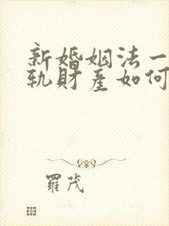 新婚姻法一方出轨财产如何分割