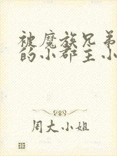 被魔族兄弟囚禁的小郡主小说