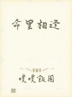 命里相逢封面