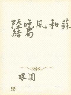 陆晚风和苏文的结局封面