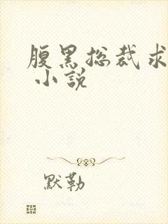 腹黑总裁求放过 小说封面