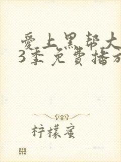 爱上黑帮大佬第3季免费播放