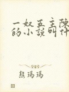 一奴五主陈茹默的小说叫什么