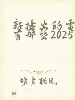新播出的电视剧有哪些2025