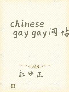 chinese gay gay网站视频封面
