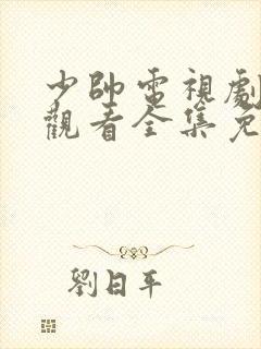 少帅电视剧在线观看全集免费完整版