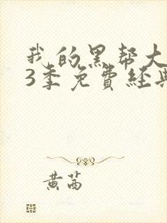 我的黑帮大佬第3季免费经典片段在线封面