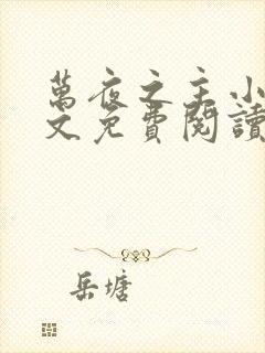 万夜之主小说全文免费阅读全文封面