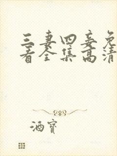 三妻四妾免费观看全集高清完整版