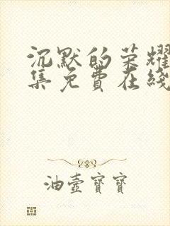 沉默的荣耀40集免费在线观看